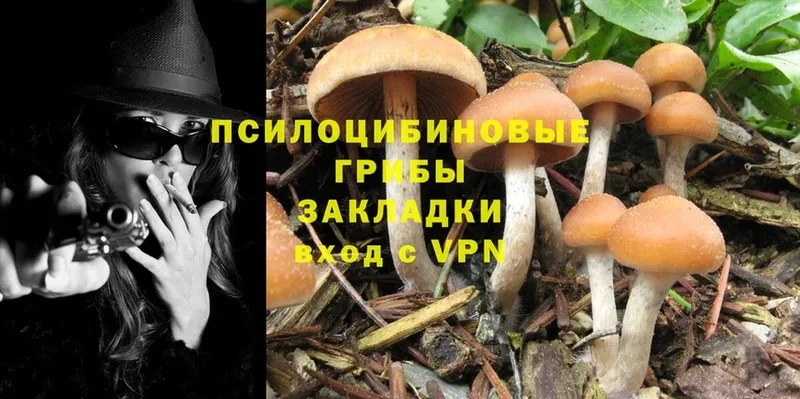 купить   blacksprut онион  Галлюциногенные грибы Psilocybe  Ардатов 